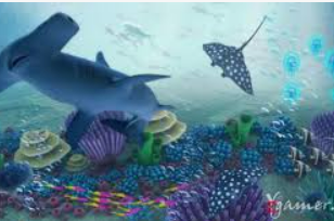 So米体育下载手机版